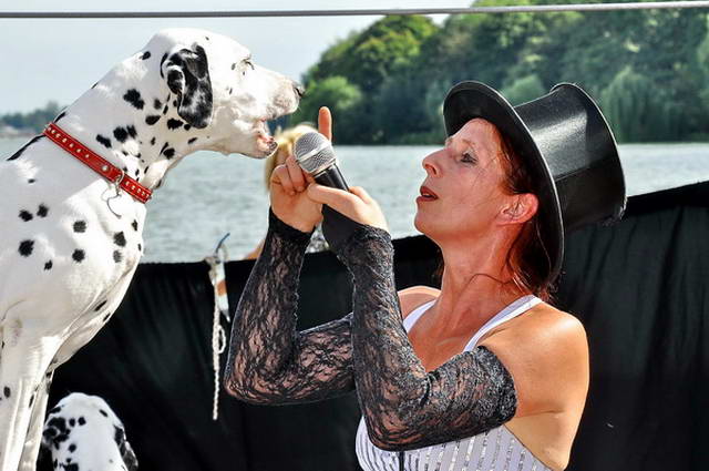 Maschseefest   605.jpg